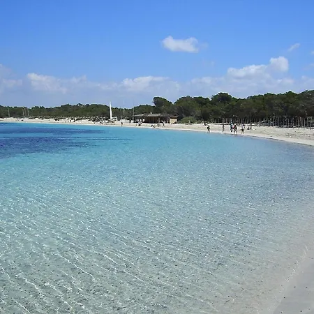 Schoenes, Mediterranes *